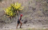 Grand raid
