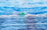 meeting natation 2017