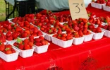 Le Marché Paysan de Sainte-Anne change de lieu et s’installe au Bassin Bleu