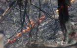 Feu de broussailles à Savannah Saint-Paul