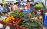 marchés des producteurs 