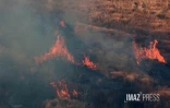 Incendie au Cap Lahoussaye