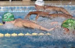 Natation