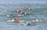 swim run 