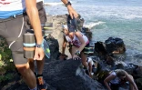 Swimrun : une quatrième édition