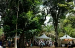 Marchés producteurs 