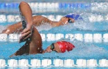 Natation