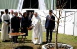 Le pape muni d'une pelle jette de la terre au pied d'un baobad tout juste planté en présence du président malgache Andry Rajoelina, le 7 septembre 2019 au palais présidentiel d'Antananarivo