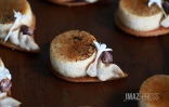festival internationational des chefs créoles 2026 