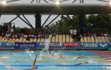 meeting natation 2015