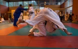 Judo