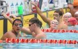 Meeting natation 2015