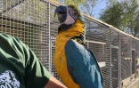 ZOO Etang-Salé