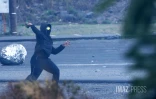 Mobilisation du 17 octobre : plusieurs dizaines de personnes ont répondu à l'appel à La Réunion 