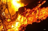 Eruption au Piton de la fournaise