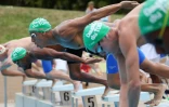 meeting natation 2017