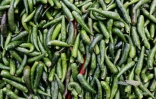 Fruits et légumes