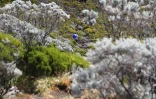 grand raid 2014 1