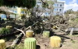 cyclone Garance et Melchior 