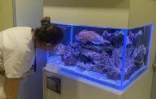Aquarium CHU