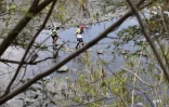 Grand raid 2018