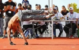 street workout