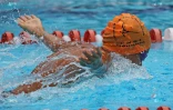 Natation 