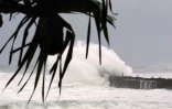 cyclone dina 22 janvier 2002