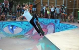 inauguration skatepark la saline