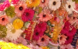 Cavadee de Saint-Denis