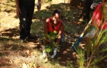 Plantation de plantes endémiques