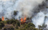 Feu du Maïdo
