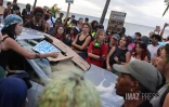 Mobilisation du 17 octobre : plusieurs dizaines de personnes ont répondu à l'appel à La Réunion 