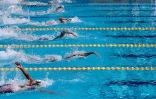 Championnat de natation de La Réunion