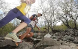 Grand raid 2014