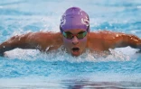 Championnat de natation de La Réunion