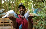 Akram Yehia, propriétaire de la réserve naturelle Marshall à Khartoum, posant avec des perruches, le 14 mai 2022