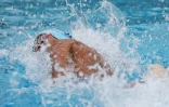meeting natation 2017