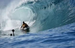 Surf
