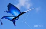 Marmay's en l'air : les cerfs-volants font le show à Saint-Pierre