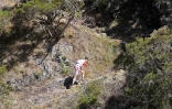 grand raid 2014 1