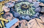 Land art