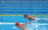 natation 