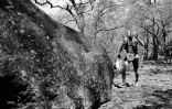 grand raid 2016