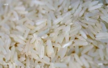 Riz