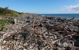 ramassage déchets après le cyclone 