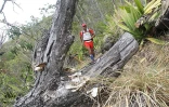 Grand Raid 2009