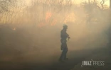 Dash 8 pour Feu de broussailles Ă Savannah Saint-Paul