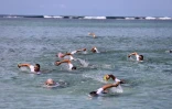 SwimRun Réunion