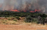 Incendies dans le Sud de la France (34)